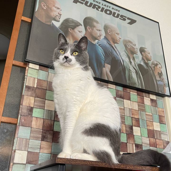 9898d816 d6f1 4028 8c61 be5fa915f4c4 1705385879644