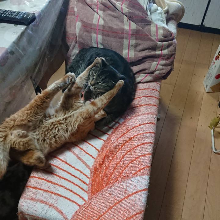 9898e686 3049 4ffe 8611 3af2e1bccac2 1648610268324