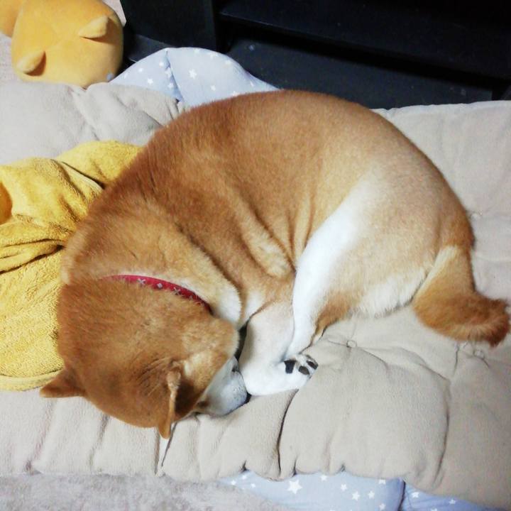 9898f5ee 4ad2 4c3c 8d2b bc74da71a5f1 1671750558531