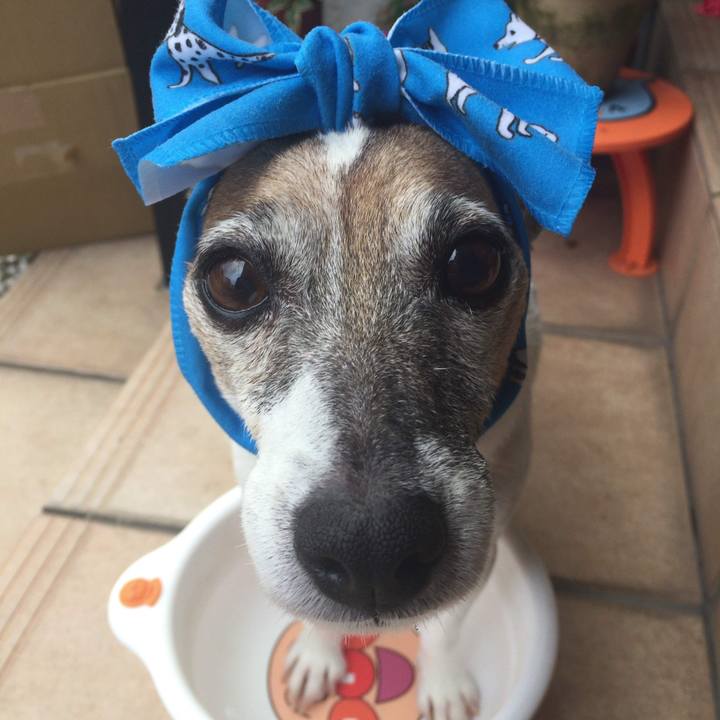 98992840 2173 407a 9474 83df65750957 1591318670287