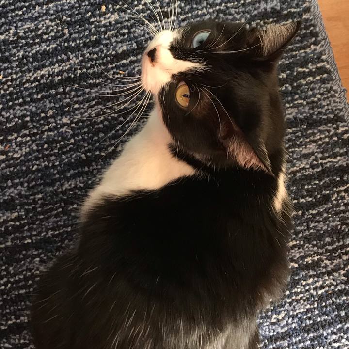 98996b6a de1f 484a a452 a1aa819a651e 1579399485066