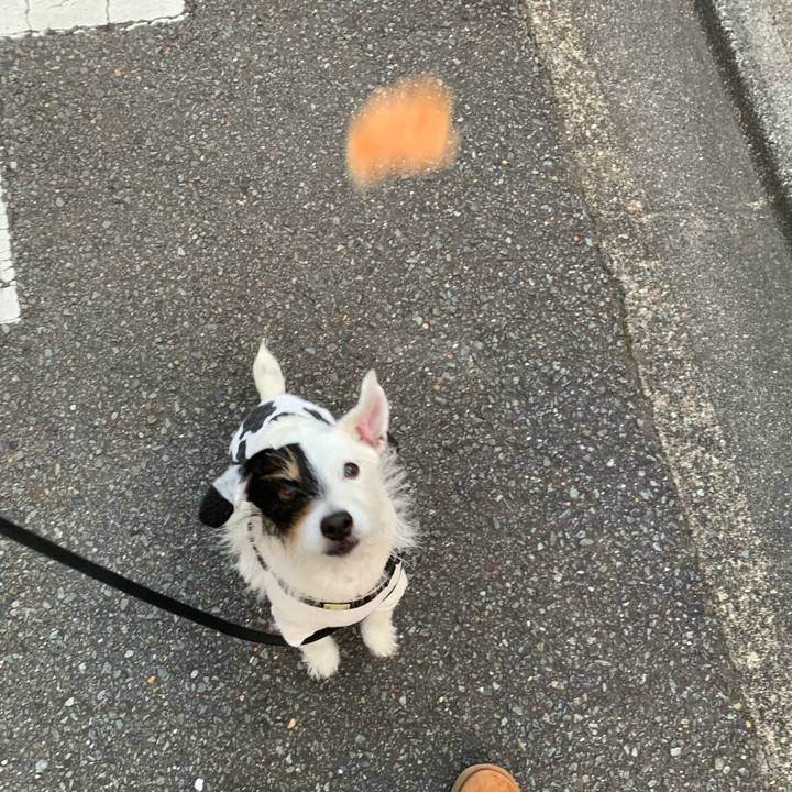 9899a337 ed99 43ec a5b6 ba68b22cbdc7 1671435617764