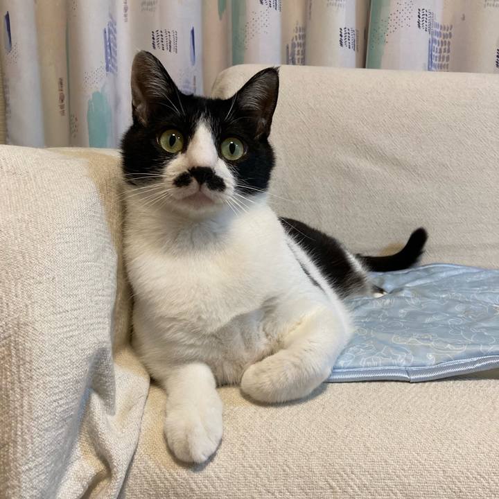 9899b1e8 6fd0 45dc 9004 e92493a63339 1756550608781