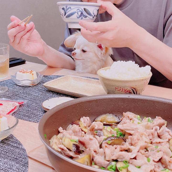 9899d474 d50c 4ce5 becb c217bb1c11c3 1683470005664