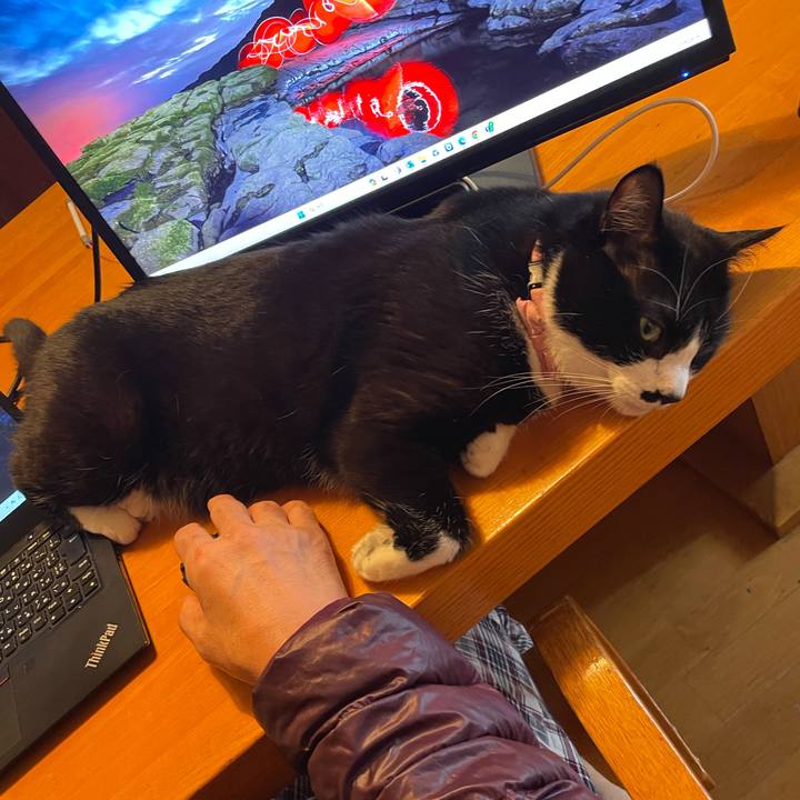 9899fdab 614f 42c0 86d3 a0e1aac84d46 1712184606269