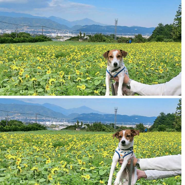 989a4554 889e 4d0a b06f eb08f769994a 1761813036083