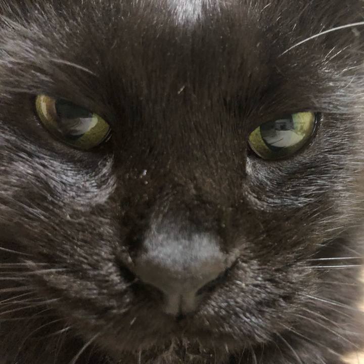 989a5b38 c905 4826 b46c ff5374881e20 1633790211724