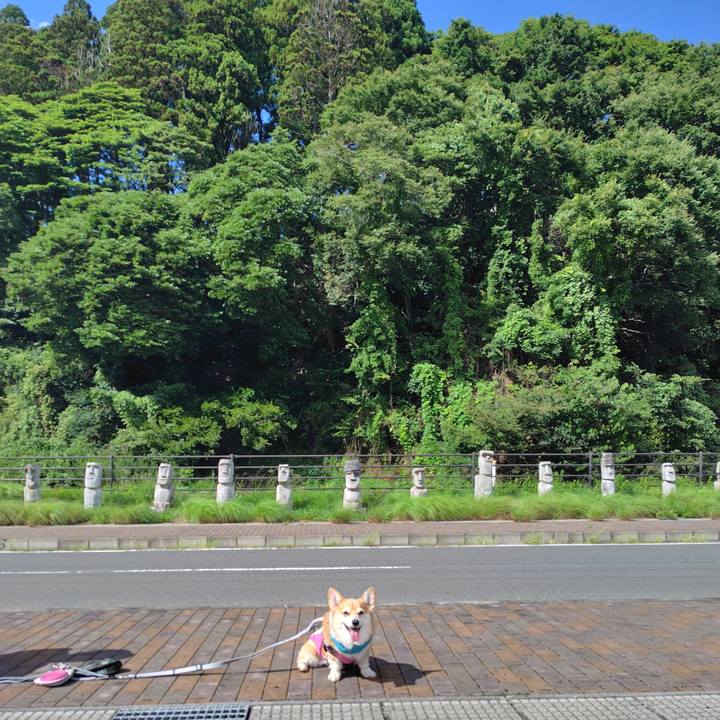 989a677f ecb8 4a5f 85ef 000af3642e03 1757857789872