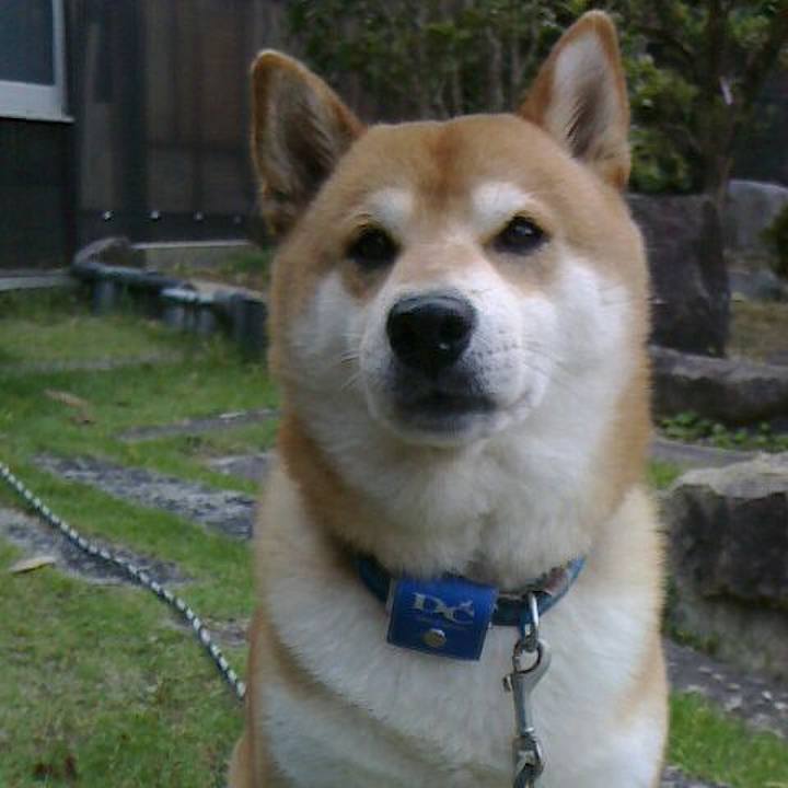 989a7999 c0f8 448d a198 036f00924500 1559034155973