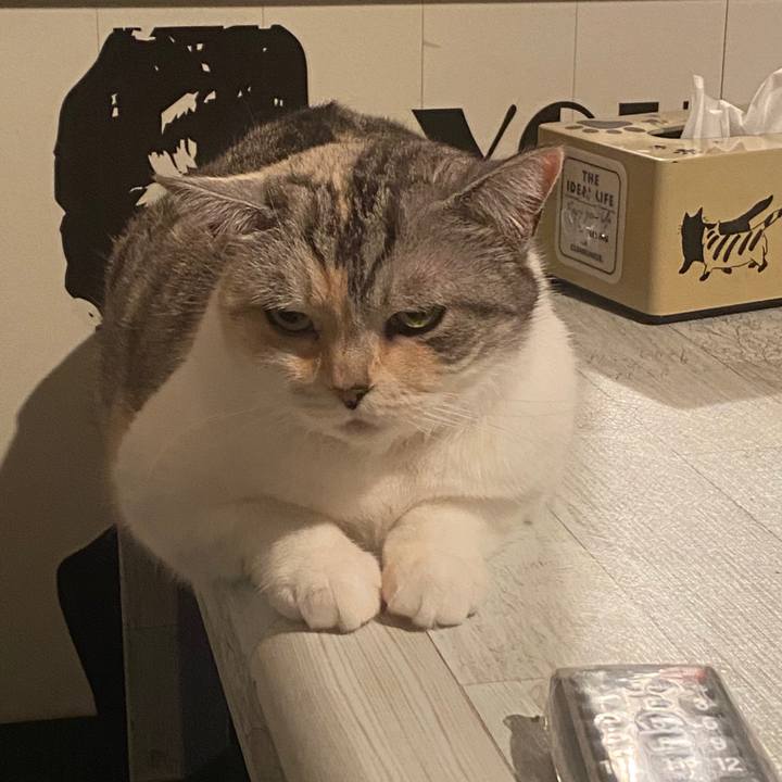 989a947f 8ec2 4dcc 9c48 18fcf38541a0 1588091645014