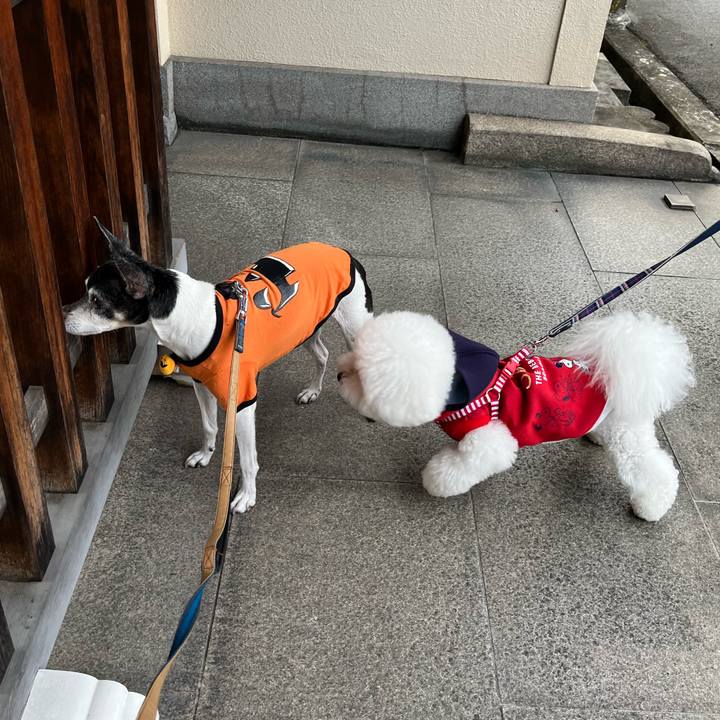 989a9f1c b547 4943 b46f 42caae726ac3 1635675899464