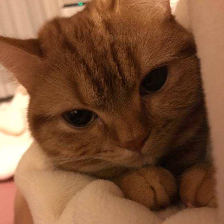 989ac29b 5e75 4c04 a62a 378016642ce1 1516832715791