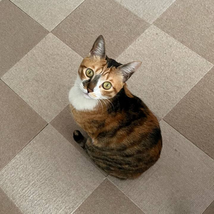 989ac820 4ec4 473e 86a1 ac09cb0f26e5 1768776355058