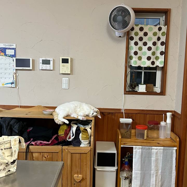 989b0188 04aa 45e8 b09b 41ec868a61c9 1670276943712