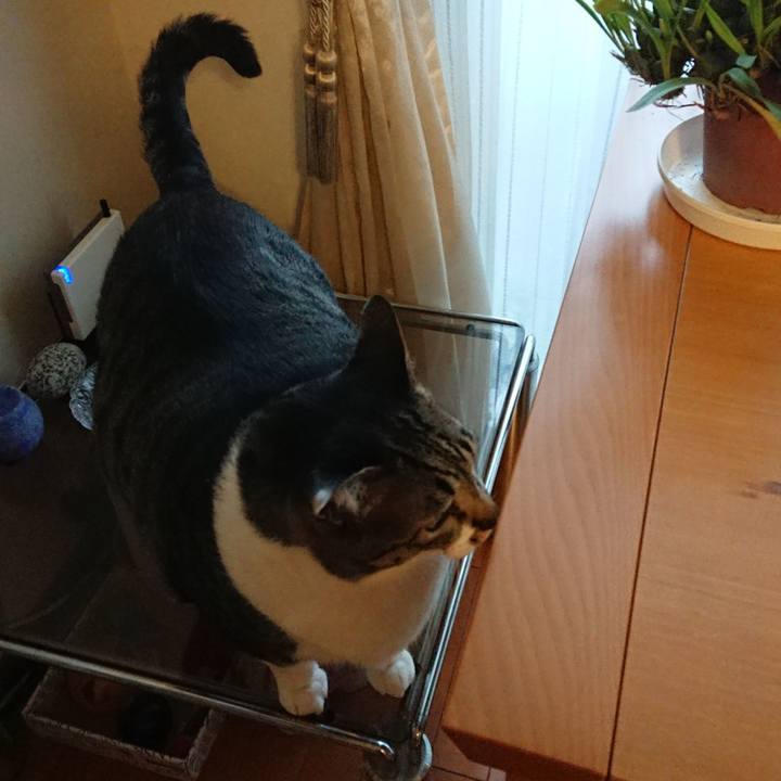 989b14ce a615 470c 88b9 7790070ff048 1521156395119