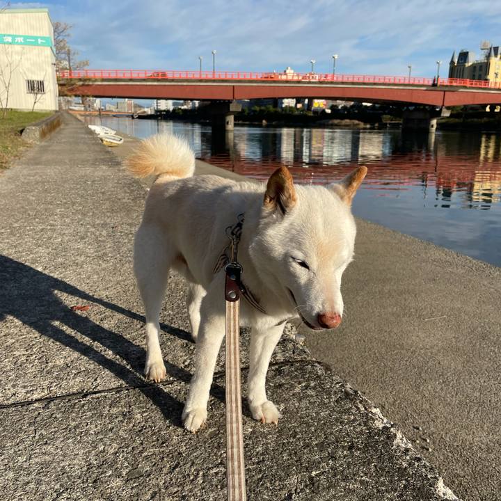 989b3c48 4f1d 4922 83fb 3809cd0a8741 1638193848448