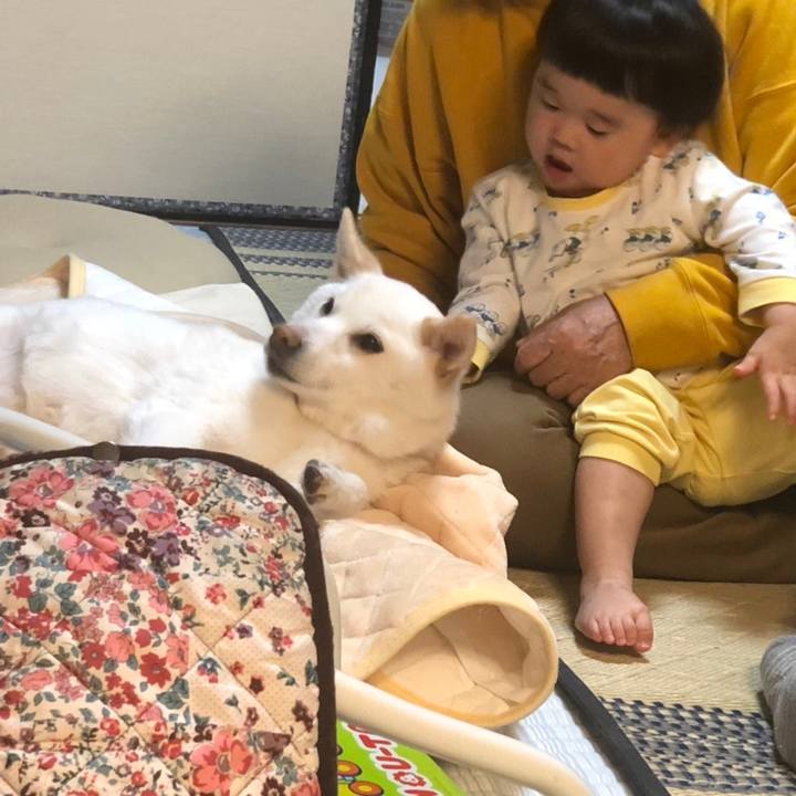 989b3ee8 55d5 4b88 91ec 335d95113adf 1651321636594