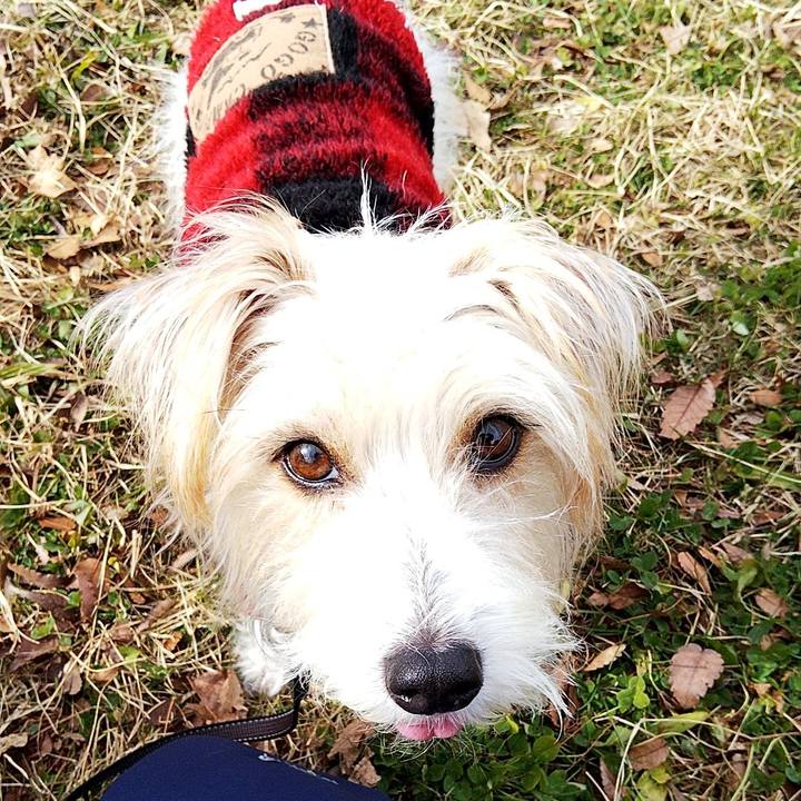 989b45a8 ffcb 4ac8 a418 e23f8e1d064a 1579412682680