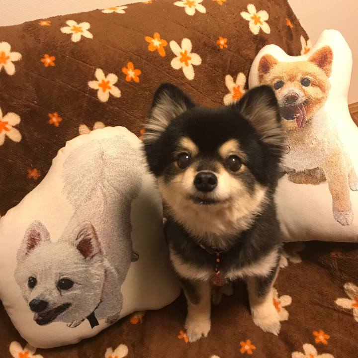 989b7836 b81e 4237 ba4e 07b9851e6d95 1550664026161