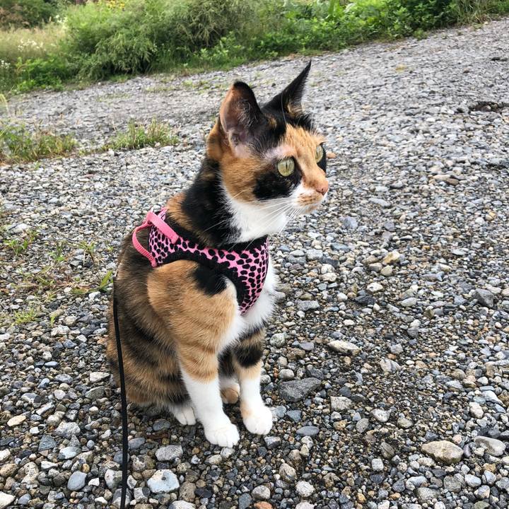 989b7bba d85d 48ff b5bc f7acf708167b 1537136919146