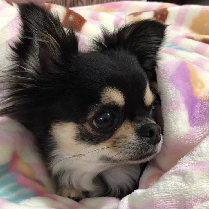 989b7e75 facc 4c97 8ce8 25ff74c170b4 1583626097291