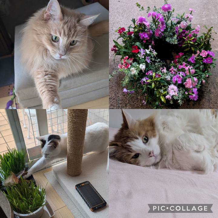 989ba108 928a 4570 9253 f2badd3e4e1c 1727521143216