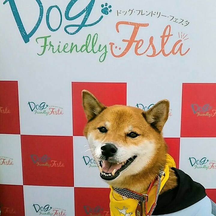 989ba13f 985a 41b9 8260 a71ee5b148ac 1572094910648