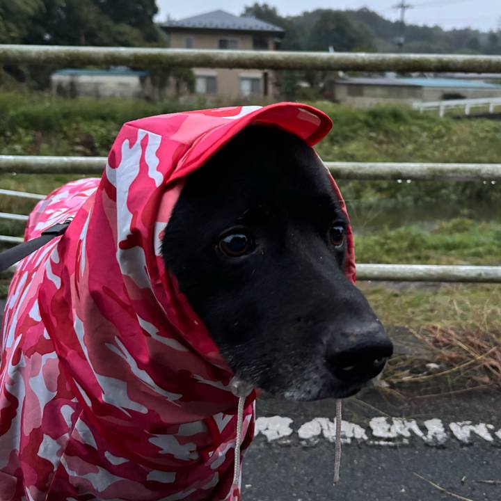 989bb1f6 00d5 40db 8f8f 878a411ad49a 1761465717304