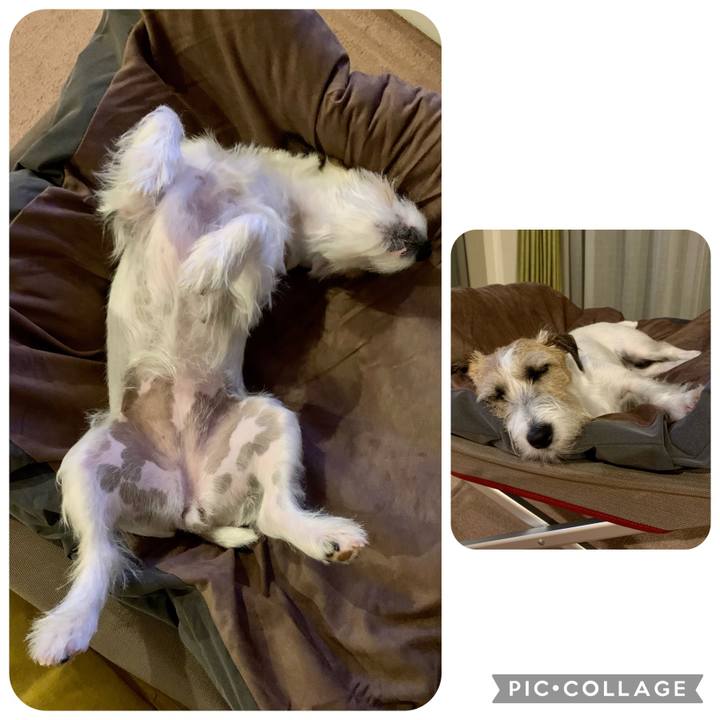 989bb7f5 9992 4d7c aa04 a7b2c479df06 1658179294819