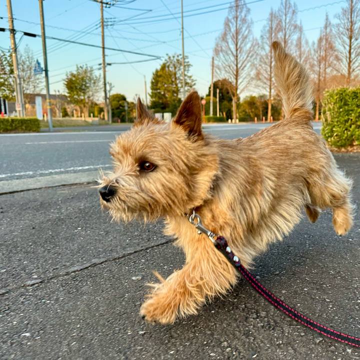 989c06eb 657a 4429 a953 7e7d78e12c22 1743854384254