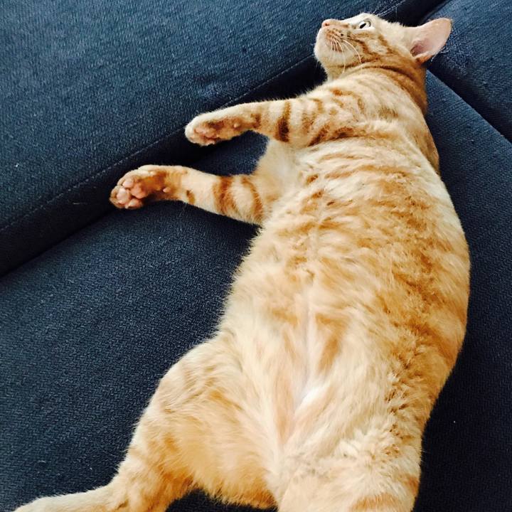 989c2238 145b 45f1 ba4b 50d5fed91886 1595030914860