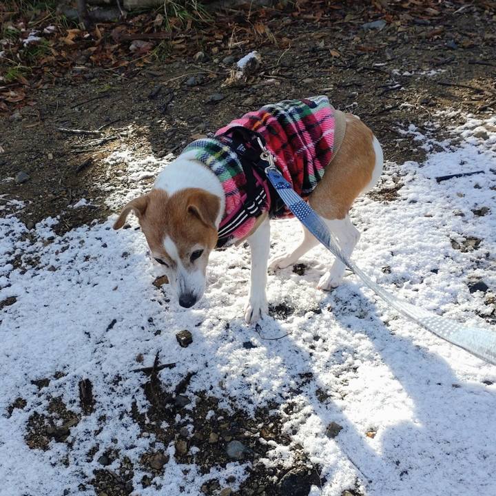 989c2c99 b5e4 474f 846e ceb10de9dd76 1767402146779