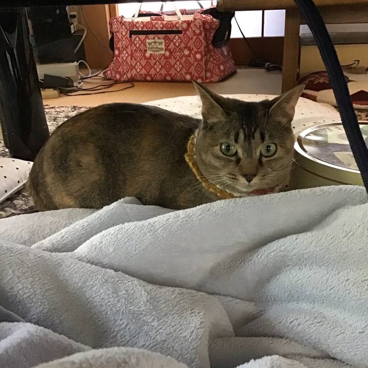 989c49e5 9c2c 4887 8b54 25065e8f6f90 1622343598054