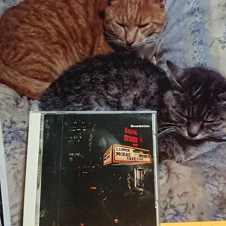 989c5026 dc38 4577 9fcb 6438e5f5d602 1624794871774