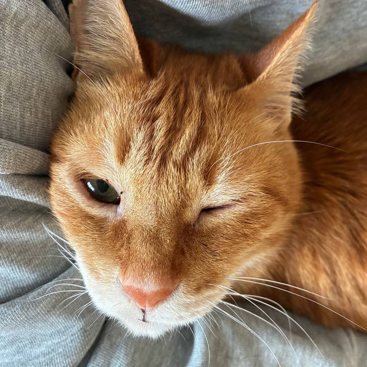 989c6c30 443f 4fd8 949f 30d1e1ad912f 1747553517967