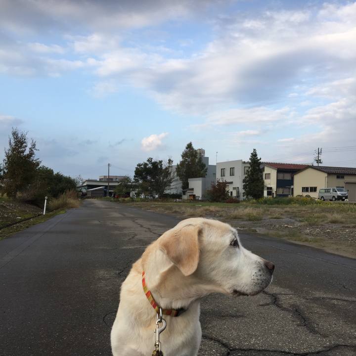 989d29aa 4fe2 41e8 85a6 698d7dc7d0f8 1540365298237