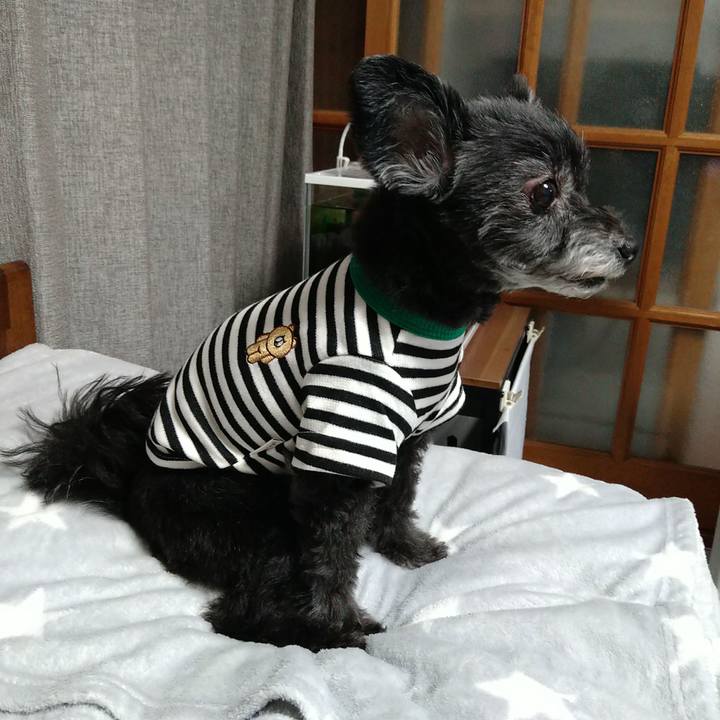 989d3703 ce34 43d8 a176 c8316bd7ebc1 1702294141527