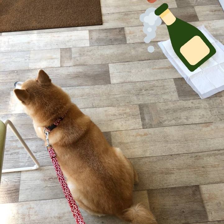 989d59d0 879f 43ea 900c 0cc1a559e8ca 1597238286934