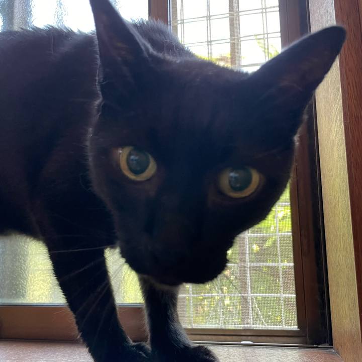 989d6543 0f18 42fc ace4 e9795277fb77 1660008415503