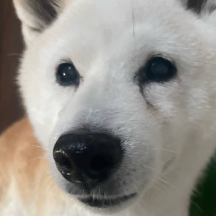 989d9607 a5ed 49bb 829d a1c032032088 1716245489867