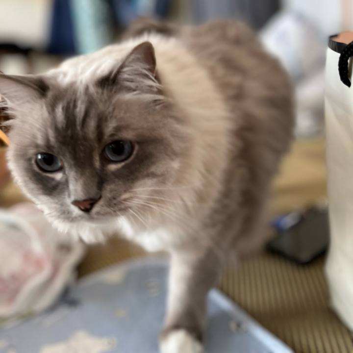 989da6d1 b027 45d3 824f 9f787463a075 1640905646998