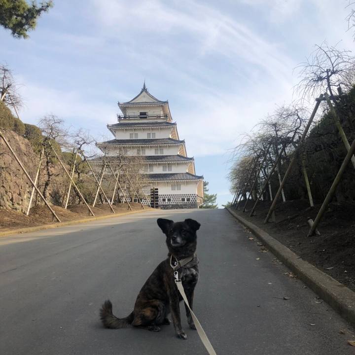 989dace1 665a 4665 822c 8e53e6d2b454 1553132866736