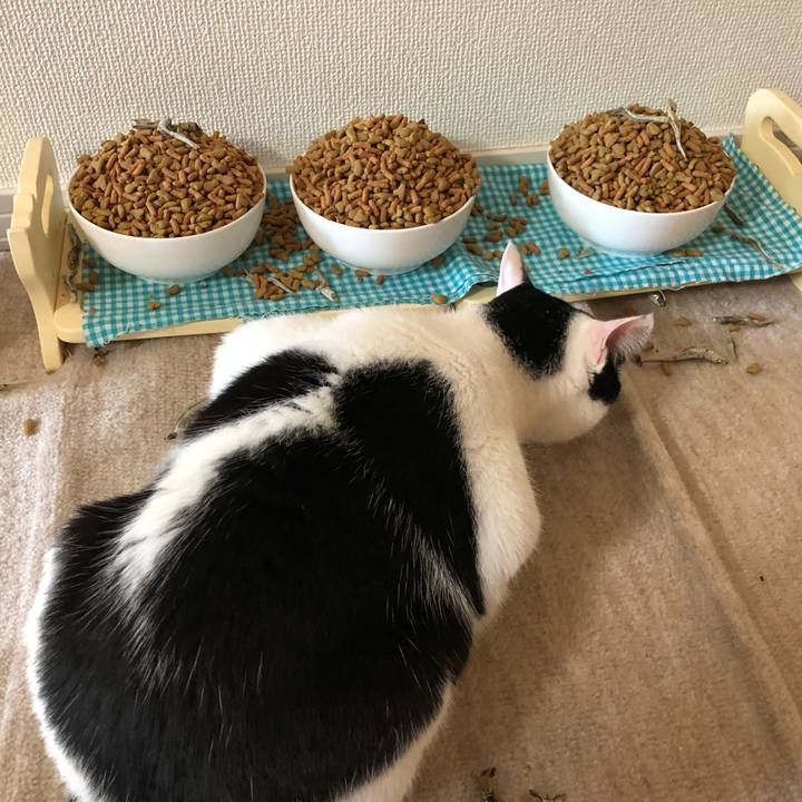 989dd6fe ef1c 4824 b7c1 1608d2e98275 1516779026835