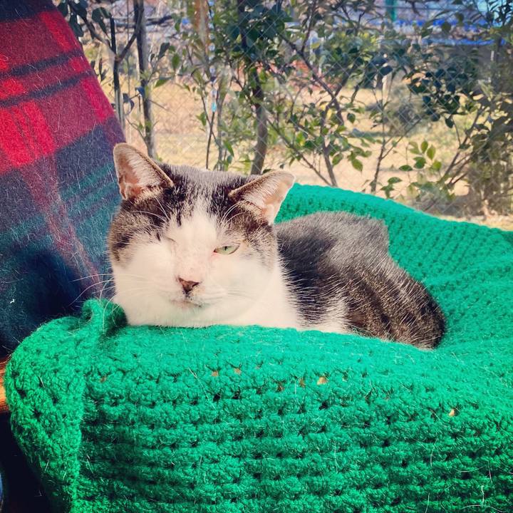 989de888 b529 499b 990b 4c06c3175adf 1578716327626