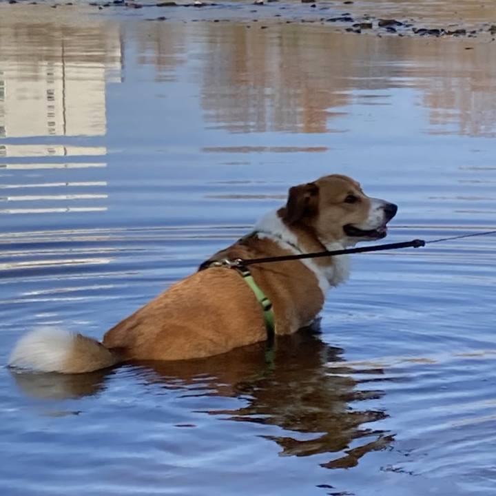 989e061d 1055 488a bb54 5b19ce167587 1703806232088