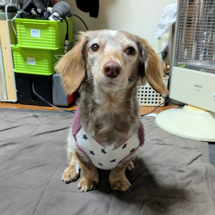 989e10de e0f2 43fb b315 0e7b05c57db8 1770287110087