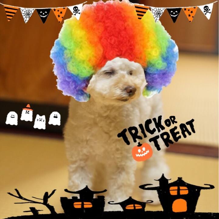 989e121f dec9 4035 b25a 22b8d83d118c 1540995085627