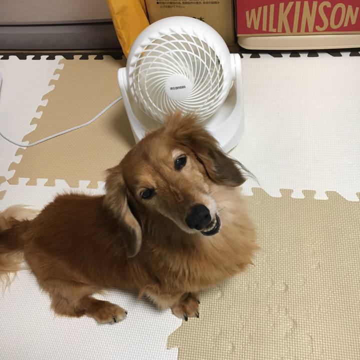 989e1aad 2cc2 42a5 9ca1 36cae2b98c7f 1622729011871