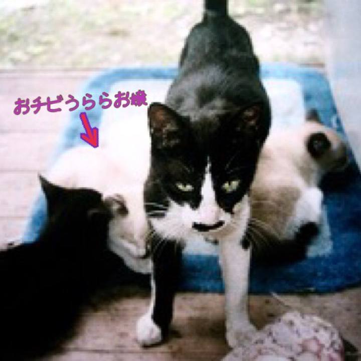 989e53c0 a01b 4f98 822f a5a37f571f07 1552958169045