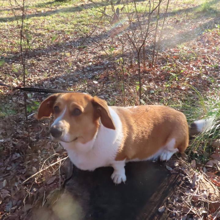 989e5ecb ccbd 44cf abc3 652e52cbeb49 1639358843803